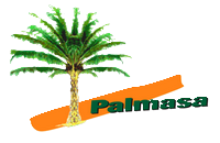 Agroindustrial Palmasa S/A
